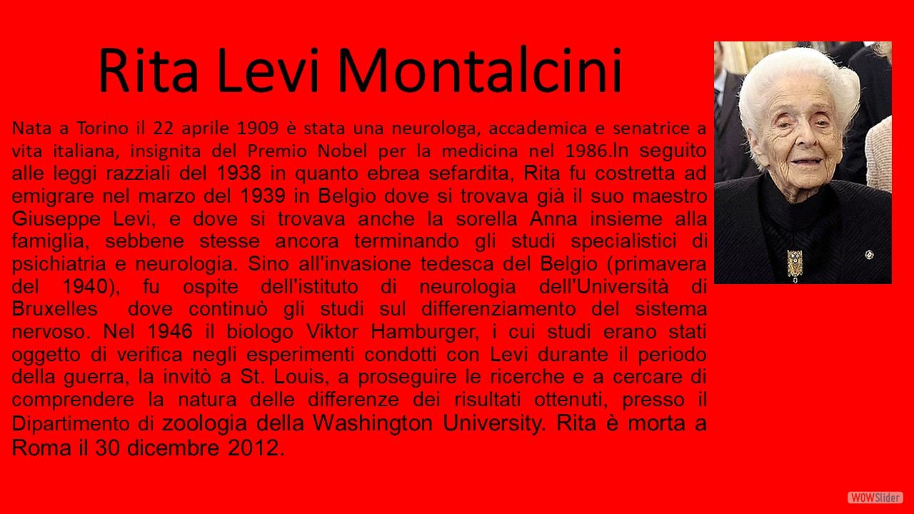 Rita Levi Montalcini