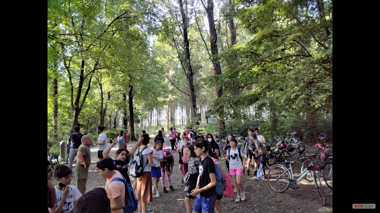20220516_085535-min