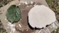 20220516_114332-min