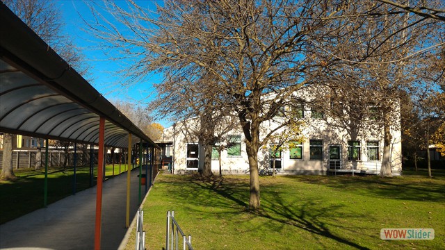 ROBBIO-SCUOLA PRIMARIA ALIGHIERI
