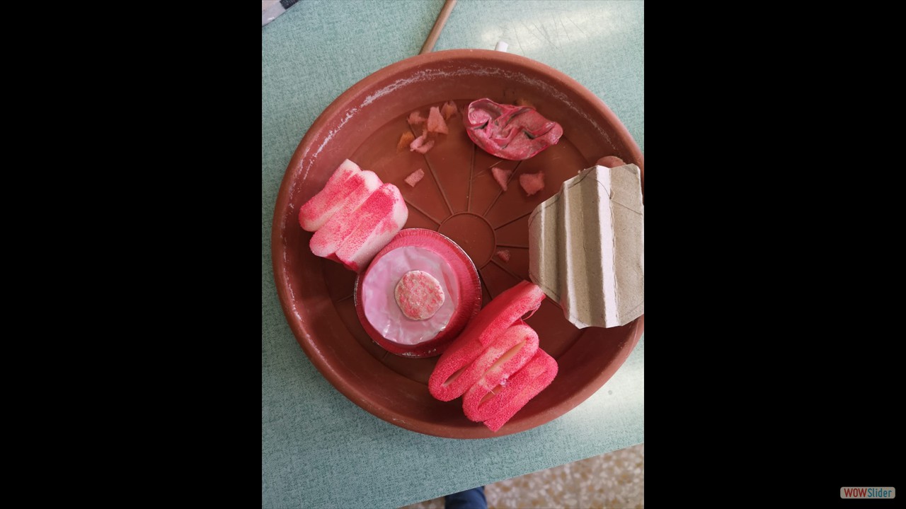 IMG-20220606-WA0018