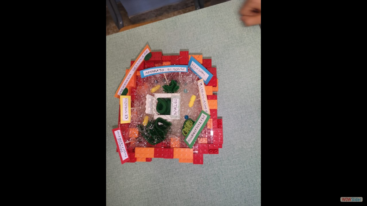 IMG-20220606-WA0019