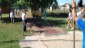 WhatsApp Image 2022-06-06 at 14.43.04 (3)