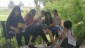 IMG-20220608-WA0123