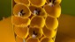 IMG-20221117-WA0014