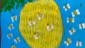 IMG-20221117-WA0016