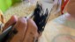 IMG-20221117-WA0020