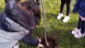 IMG-20221121-WA0086