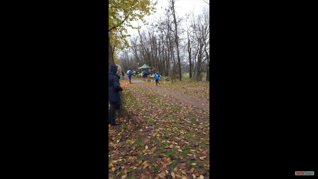 IMG-20221215-WA0038