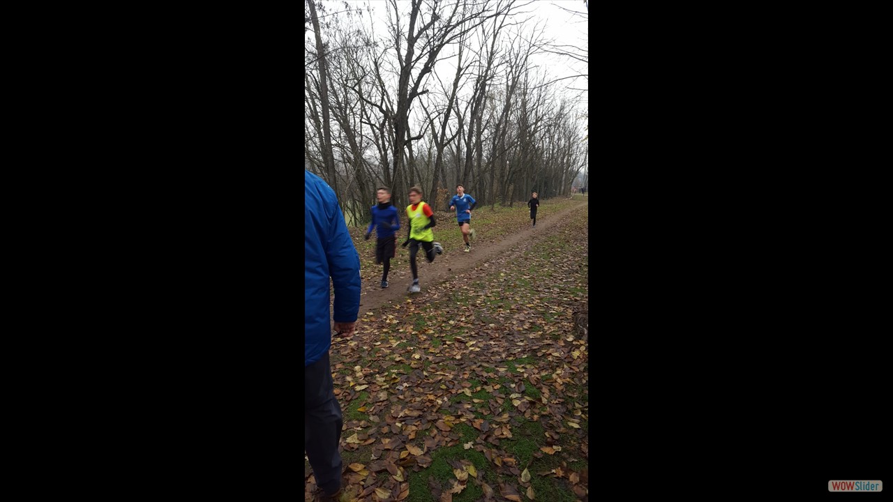 IMG-20221215-WA0056