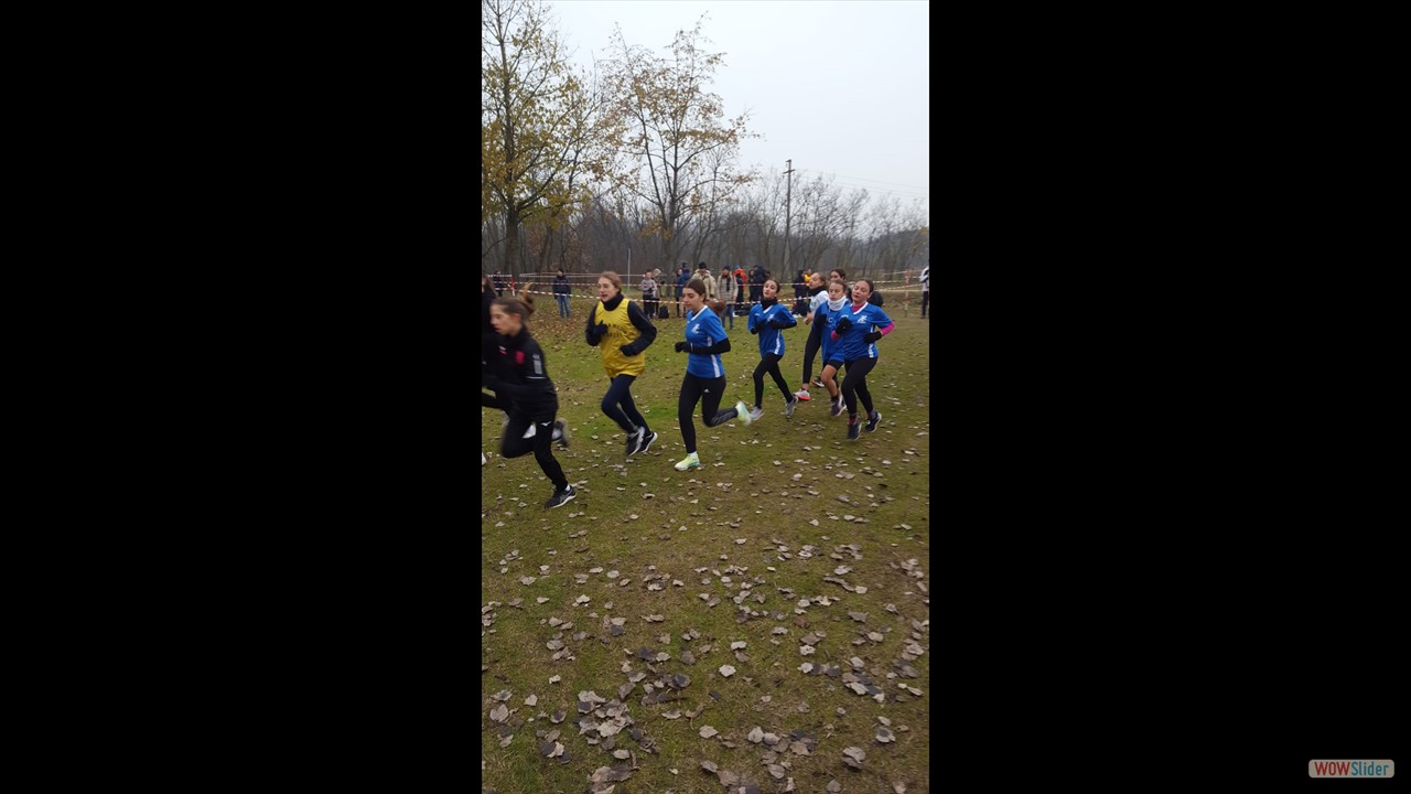 IMG-20221215-WA0059