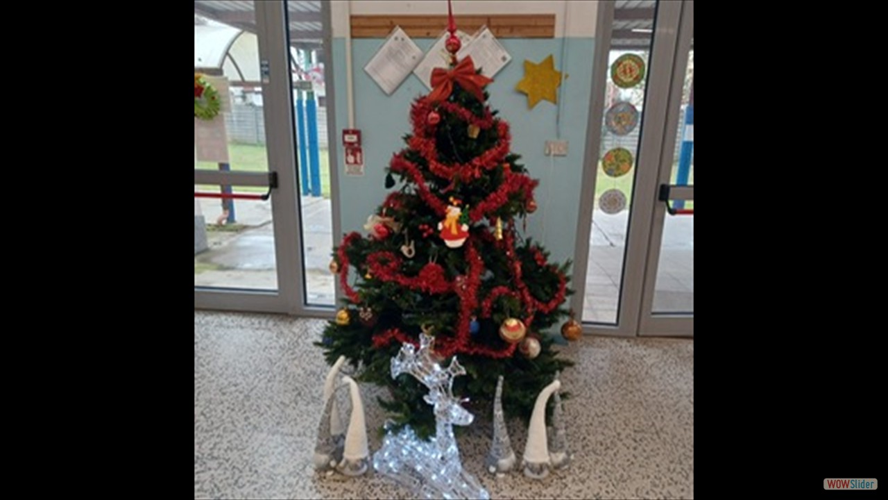 PHOTO-2022-12-15-08-53-01 (2)