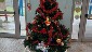 PHOTO-2022-12-15-08-53-01 (2)