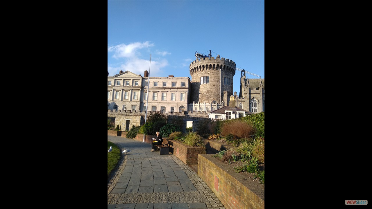 Dubh Linn Garden, near Dublin Castle, flowers for bees!