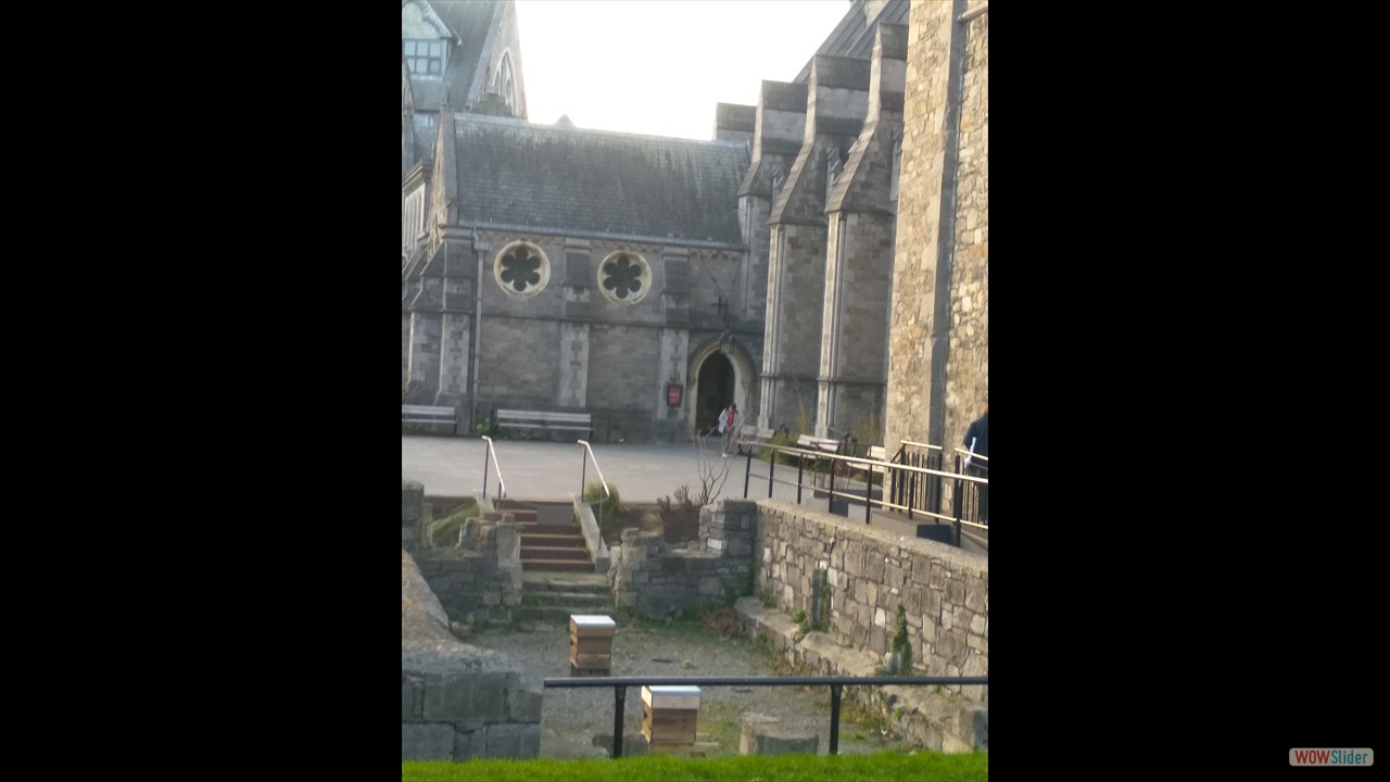 Hives near Christ Church Cathedral,  the second cathedral  in Dublin