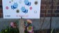 Signs in a private garden. Each flower Is for the bees!