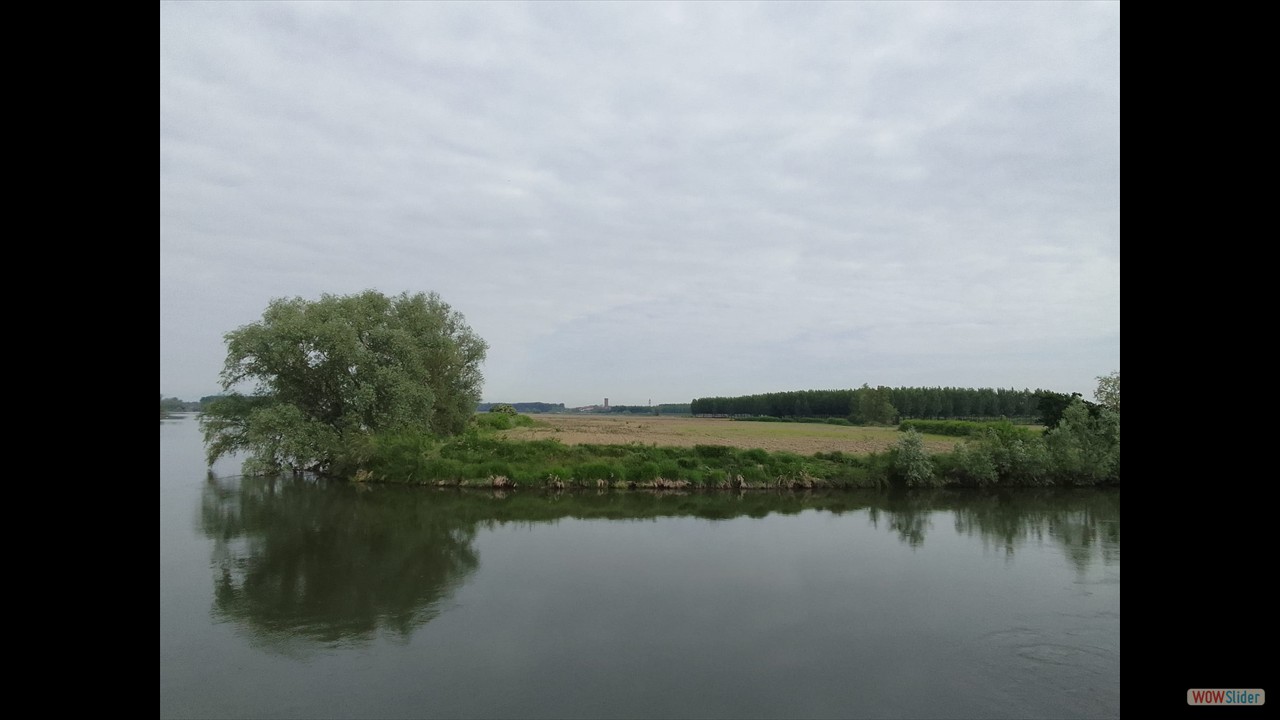 IMG-20230504-WA0033