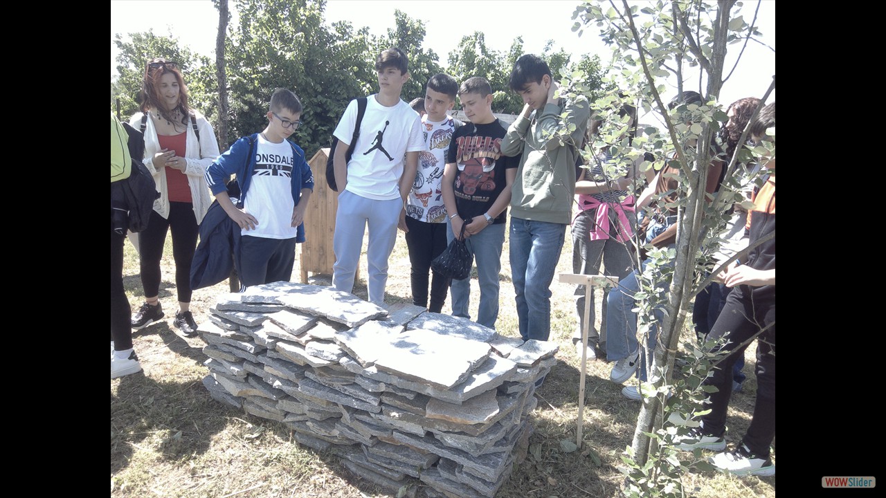 IMG_20230503_121302