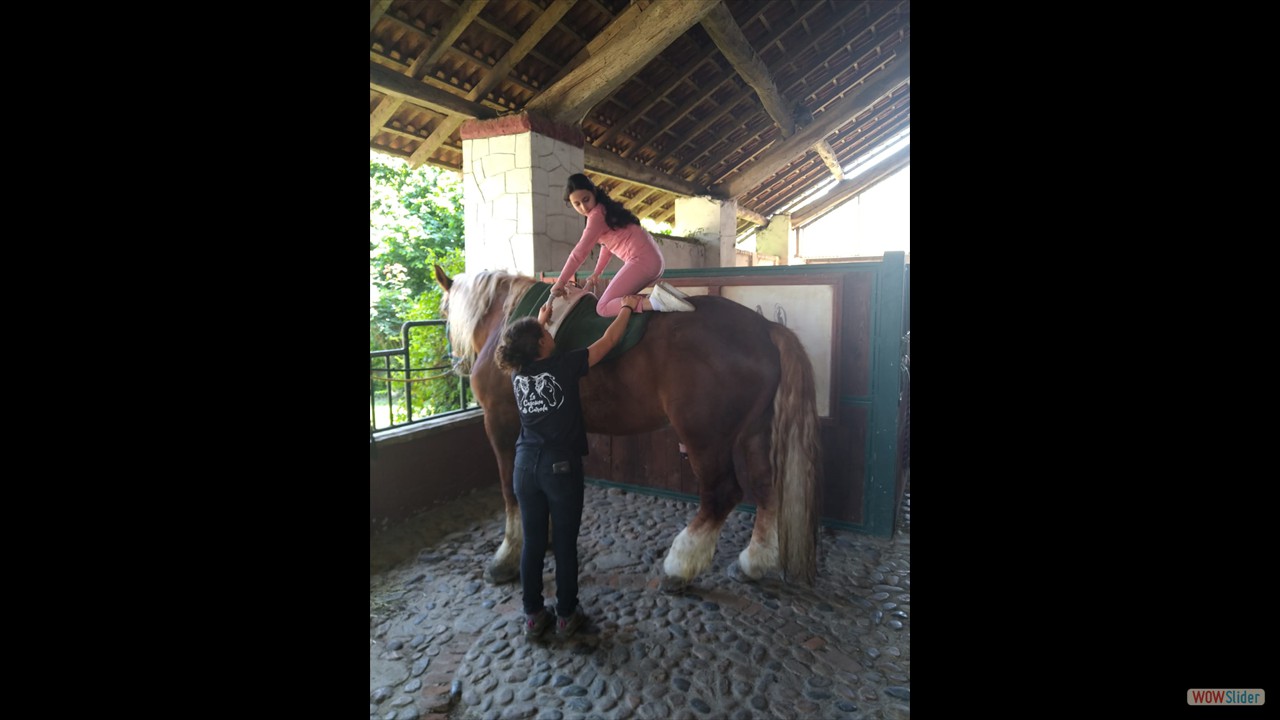 WhatsApp Image 2023-05-15 at 17.45.56 (1)