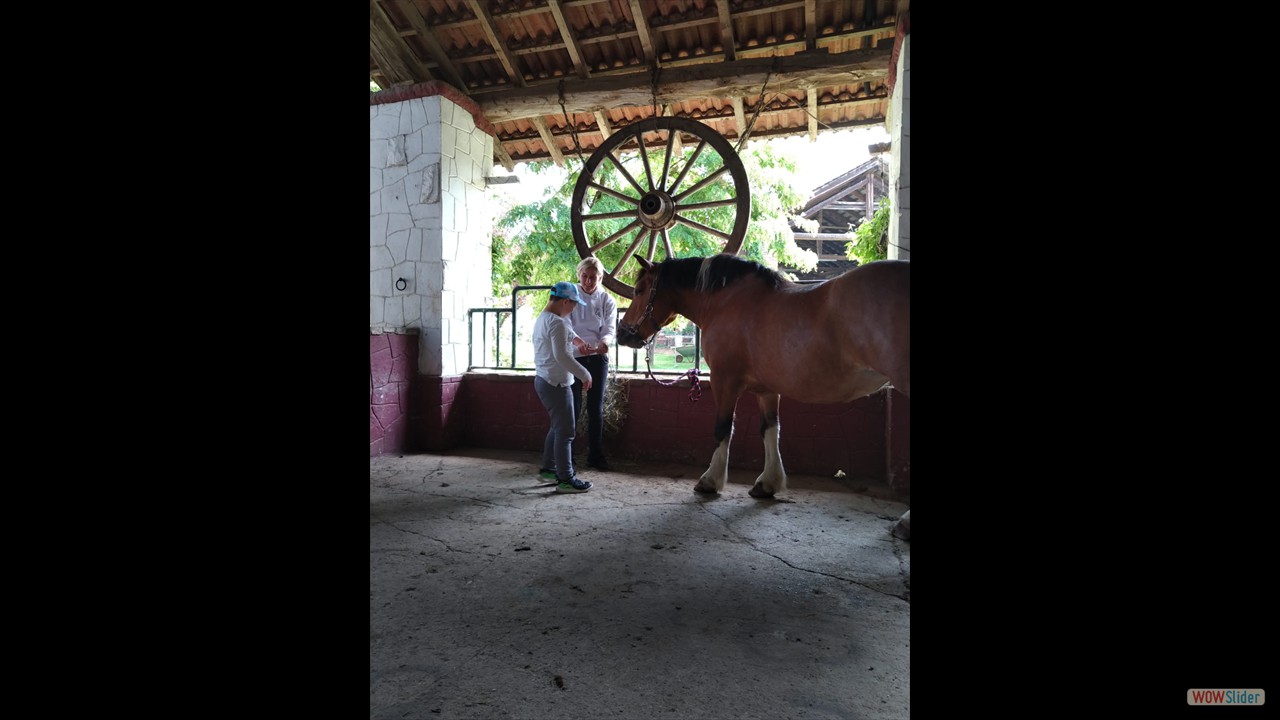 WhatsApp Image 2023-05-15 at 17.45.58 (2)