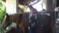 WhatsApp Image 2023-05-15 at 17.45.55 (2)