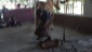 WhatsApp Image 2023-05-15 at 17.45.57