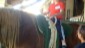 WhatsApp Image 2023-05-16 at 08.21.48 (2)