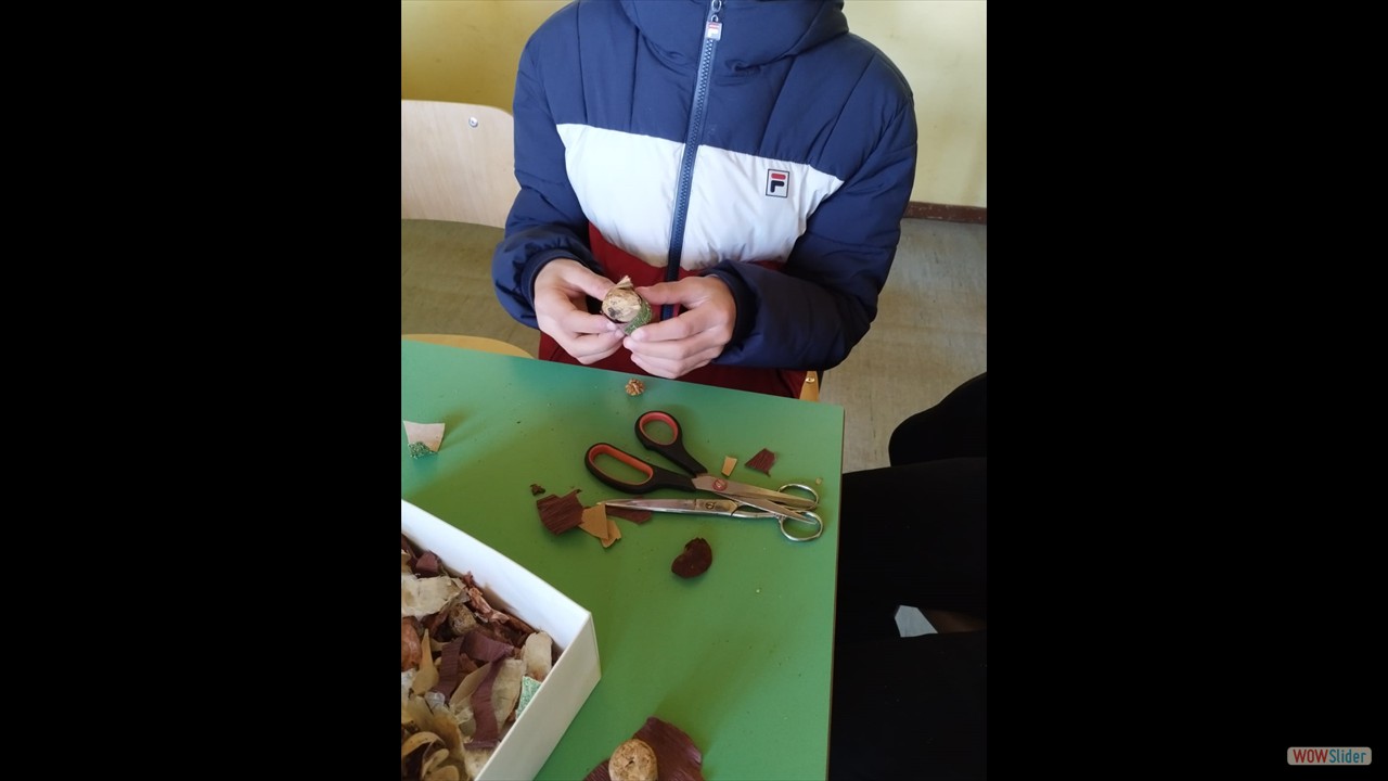 IMG-20231206-WA0006