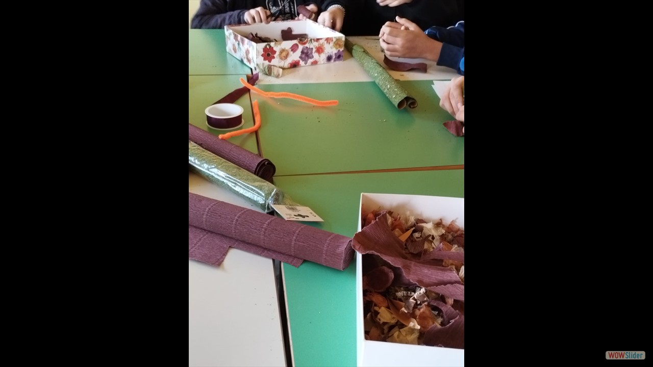 IMG-20231206-WA0009