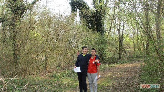 Valpometto 2019 (10)