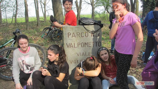 Valpometto 2019 (21)