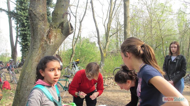 Valpometto 2019 (24)
