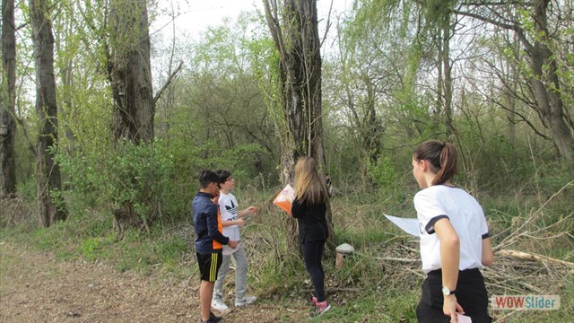 Valpometto 2019 (3)