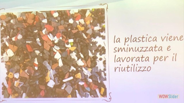 ecologica (10)