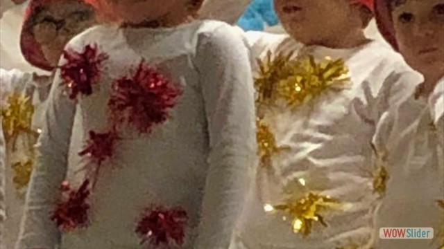 Festa di Natale (5)