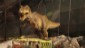 Un enorme T-Rex
