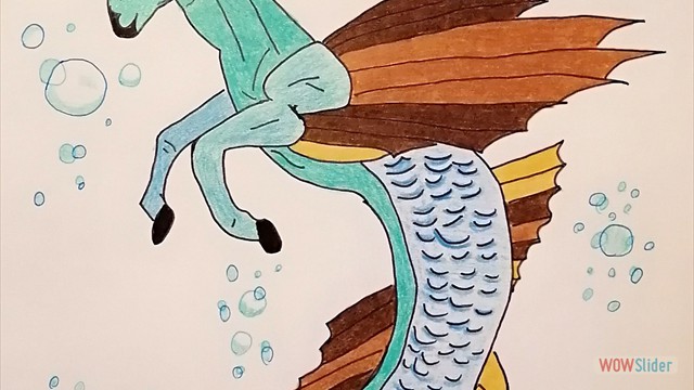 Classe1_Animale_003