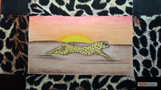 Classe2_Animale_005