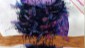Classe2_Animale_003