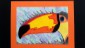 Classe2_Animale_004