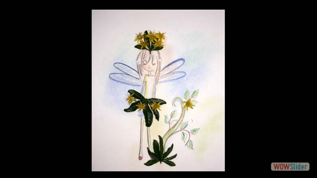 CL1-2-3_Fantasia_11