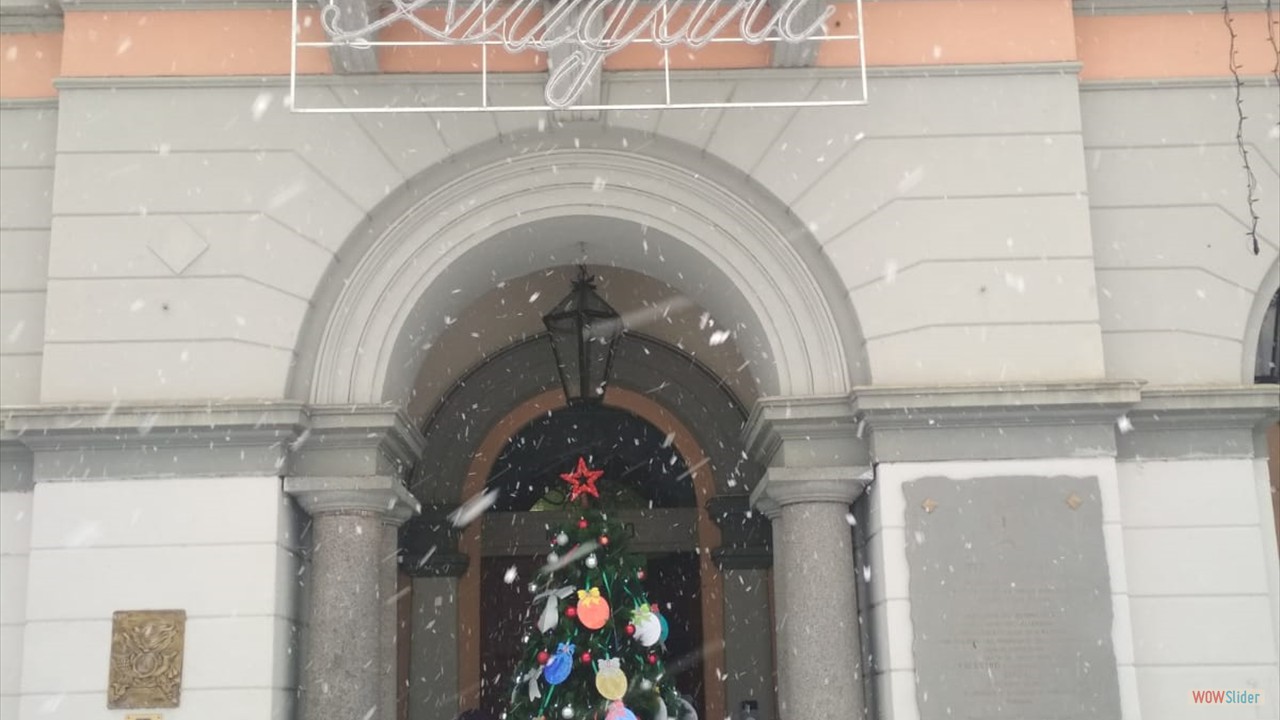 Natale a Palestro (3)