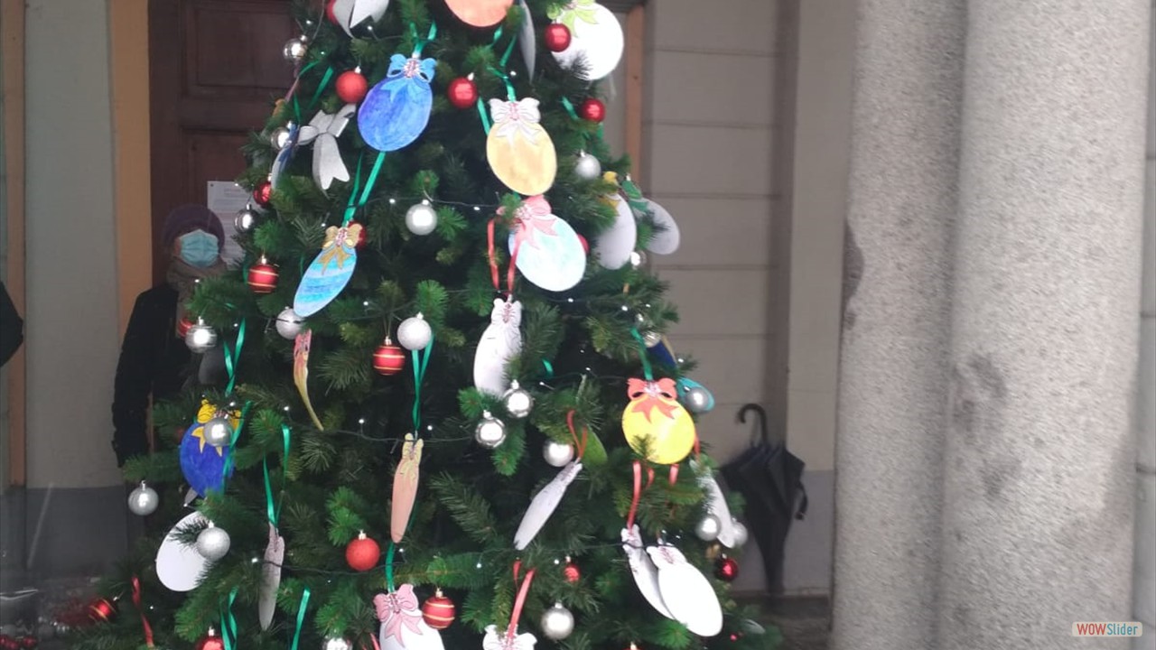 Natale a Palestro (5)
