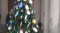 Natale a Palestro (5)